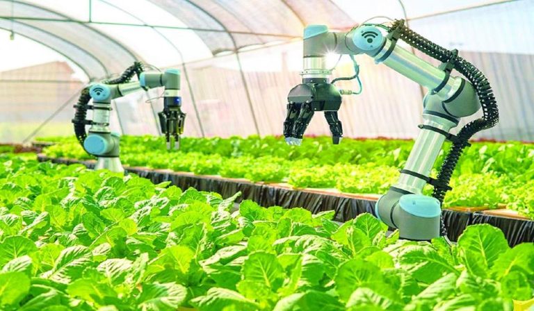 Top 5 ứng dụng AI trong nông nghiệp​ phổ biến nhất hiện nay