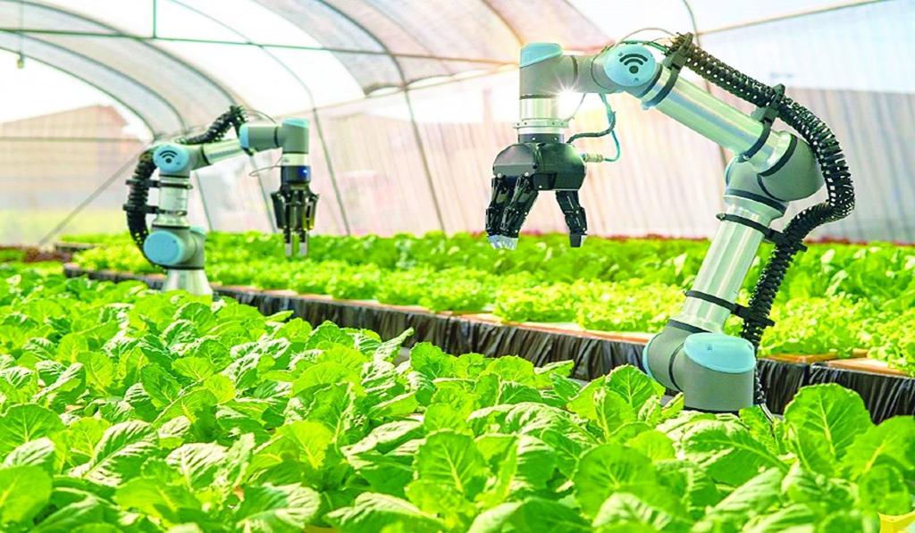 Tiếp cận AI giúp nâng cao năng suất và hiệu quả trong ngành nông nghiệp
